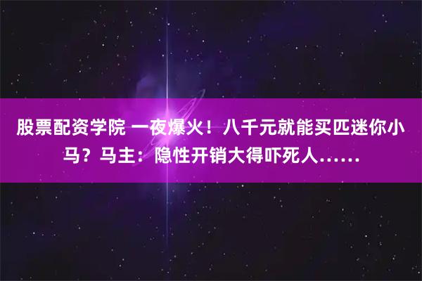 股票配资学院 一夜爆火！八千元就能买匹迷你小马？马主：隐性开销大得吓死人……